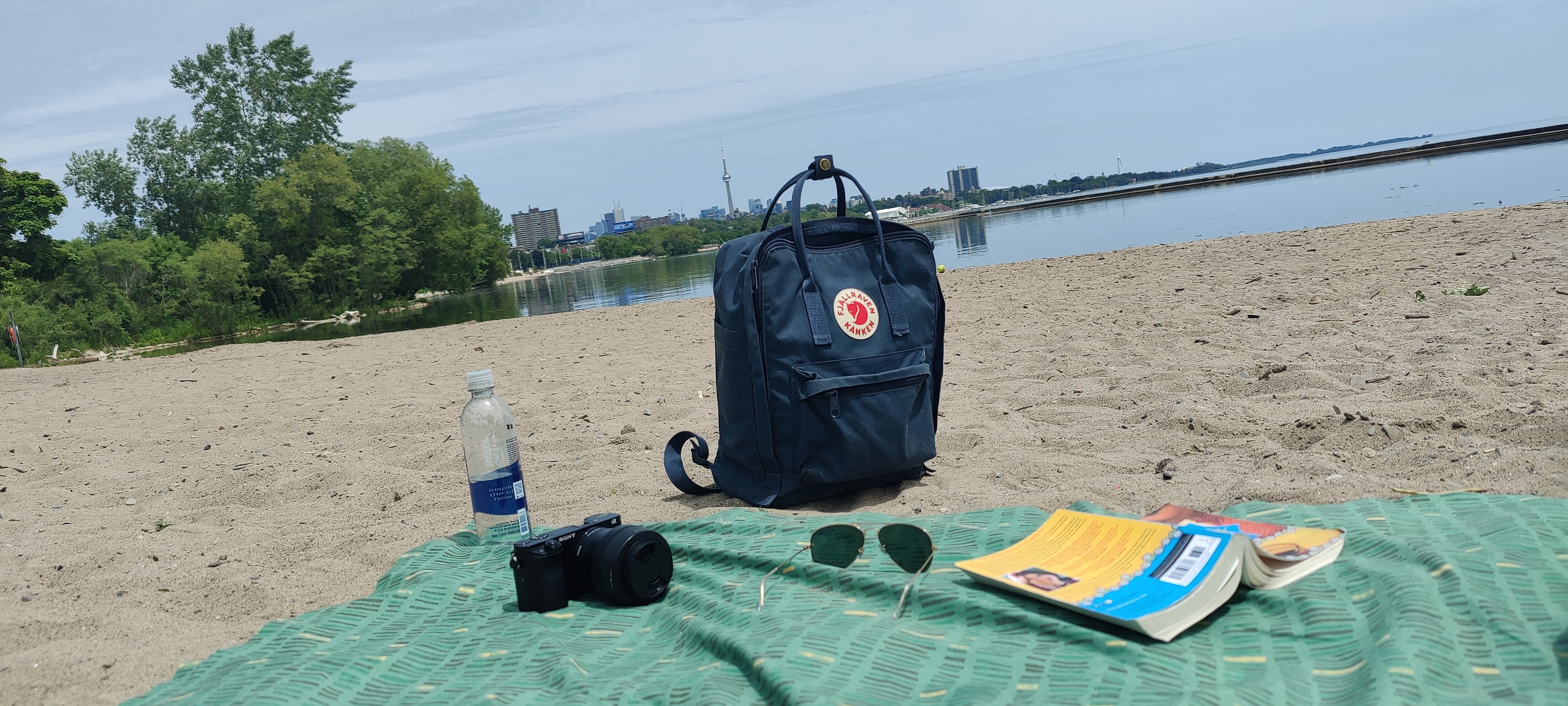 Reading on the Humber Bay Shore